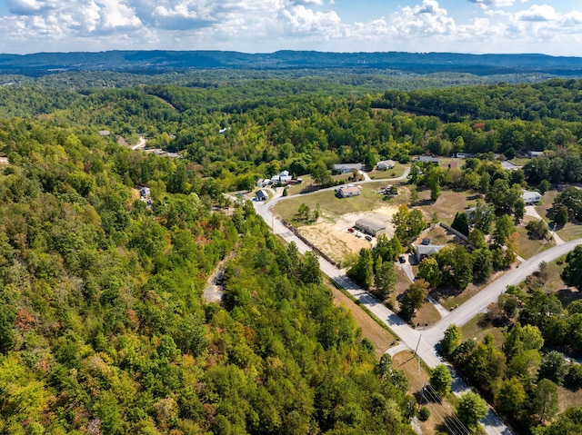 6933 Short Tail Springs Rd, Harrison, TN 37341