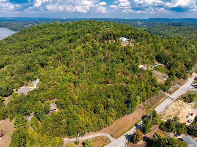 6933 Short Tail Springs Rd, Harrison, TN 37341