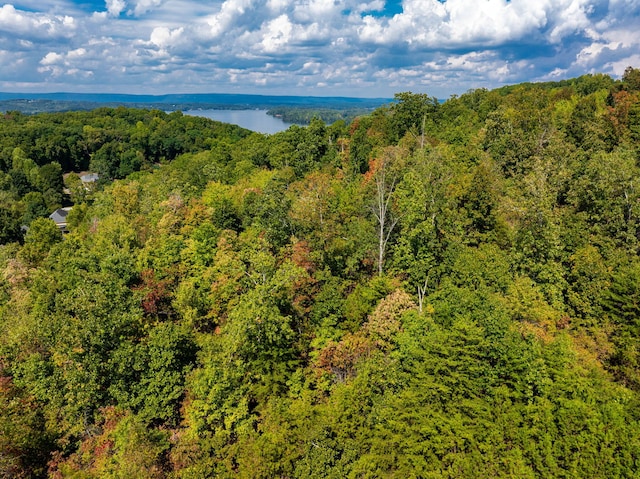6933 Short Tail Springs Rd, Harrison, TN 37341
