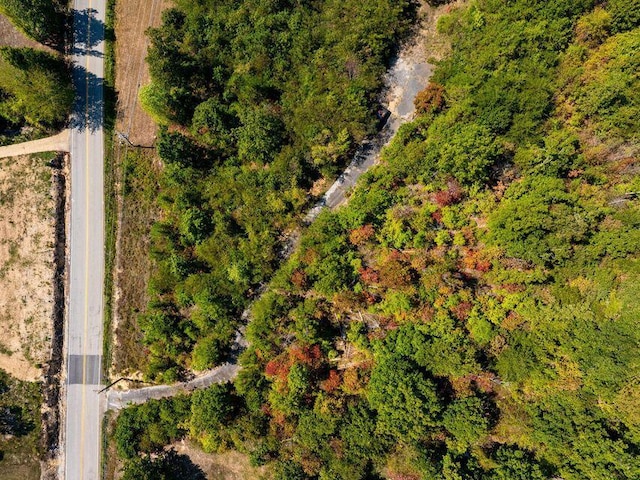 6933 Short Tail Springs Rd, Harrison, TN 37341