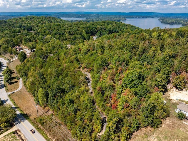 6933 Short Tail Springs Rd, Harrison, TN 37341