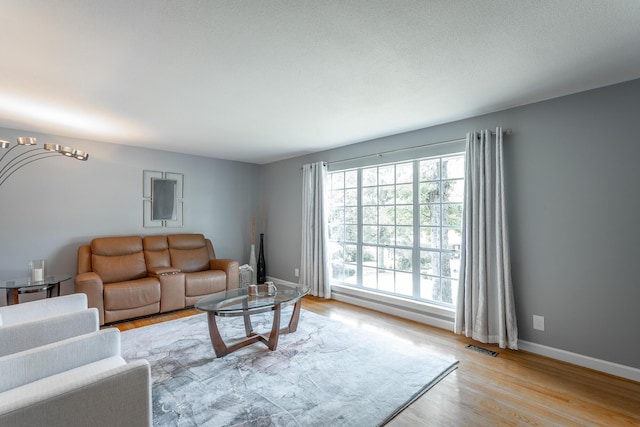 409 Caraway Turn, Chattanooga, TN 37415 - living room featuring light wood-type flooring and a chandelier