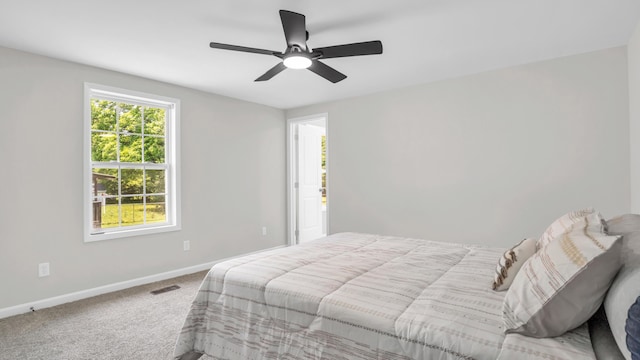 1514 Prigmore Rd, Chattanooga, TN 37412 - bedroom with multiple windows, carpet, and ceiling fan