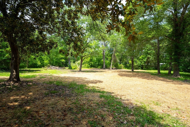 594 Prater Rd, Rossville, GA 30741 - view of yard