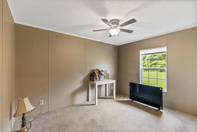 3765 Mount Pleasant Rd NE, Dalton, GA 30721 - photo 50