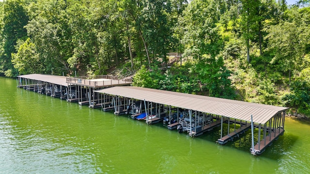 1784 River Breeze Dr, Soddy Daisy, TN 37379 - dock area with boat lift and a water view