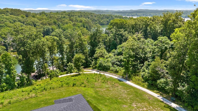1784 River Breeze Dr, Soddy Daisy, TN 37379 - drone / aerial view of a forest