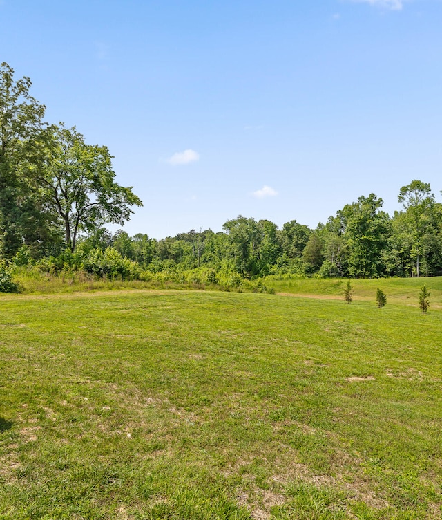 1784 River Breeze Dr, Soddy Daisy, TN 37379 - view of green lawn