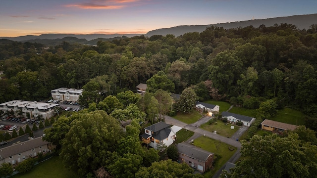 4206 Oakland Ter N, Red Bank, TN 37415 - aerial view at dusk of a view of trees