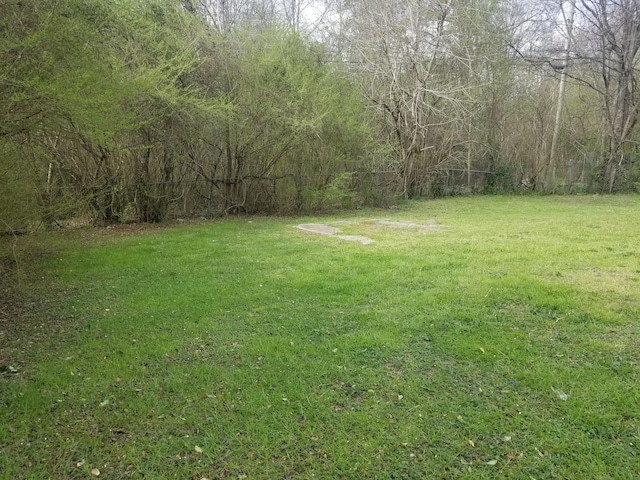 5007 Jarrett Rd, Chattanooga, TN 37416 - view of green lawn with a view of trees