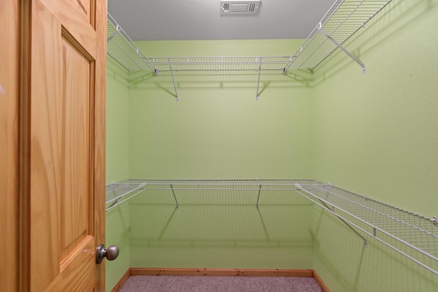 210 Gordon Dr, Chatsworth, GA 30705 - spacious closet featuring carpet
