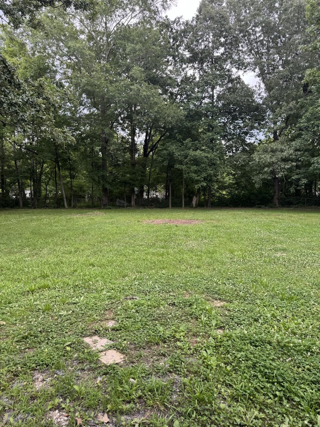 115 Palm Beach Ave, Rossville, GA 30741 - view of yard