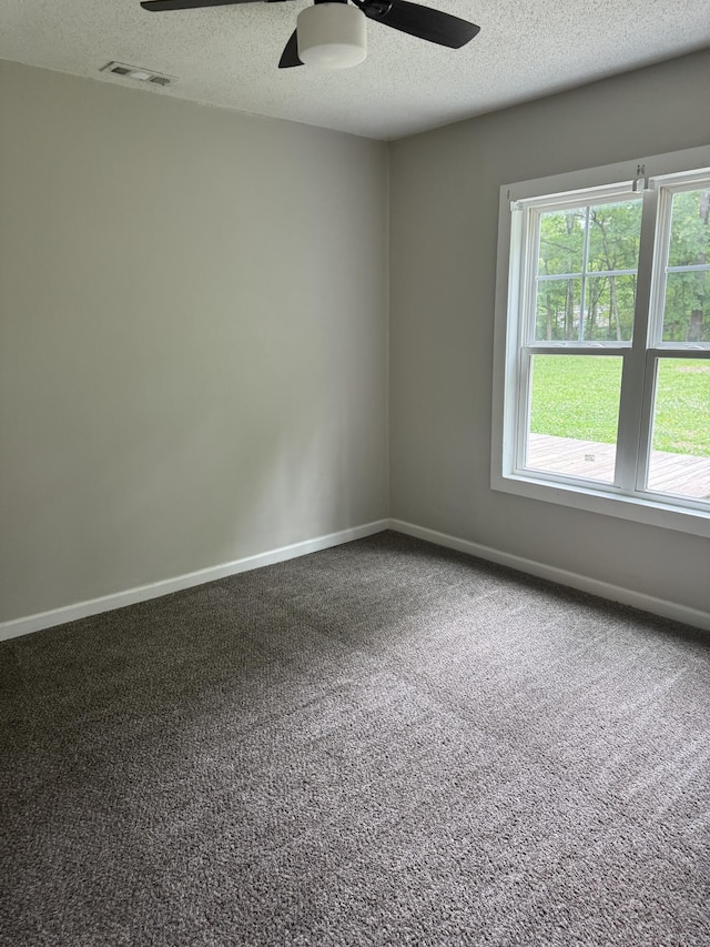 115 Palm Beach Ave, Rossville, GA 30741 - carpeted spare room with a ceiling fan and a textured ceiling