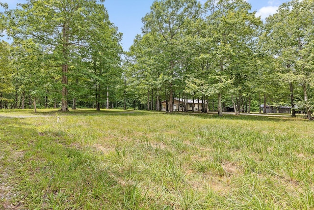 2321 Old State Rd, Menlo, GA 30731 - photo 7
