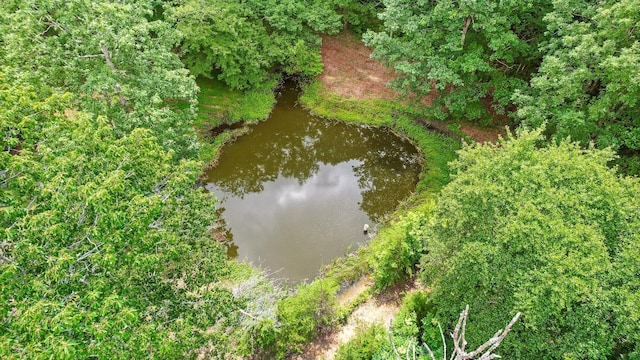 2321 Old State Rd, Menlo, GA 30731 - photo 28