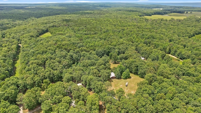 2321 Old State Rd, Menlo, GA 30731 - photo 30