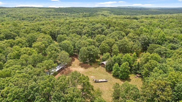 2321 Old State Rd, Menlo, GA 30731 - photo 31