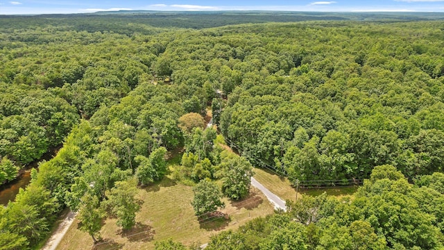 2321 Old State Rd, Menlo, GA 30731 - photo 32
