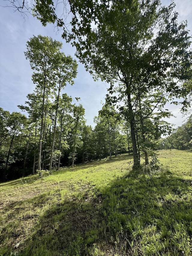 LOT5 Hobbstown Rd Unit 5, Dunlap, TN 37327