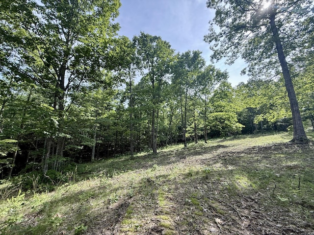 LOT5 Hobbstown Rd Unit 5, Dunlap, TN 37327