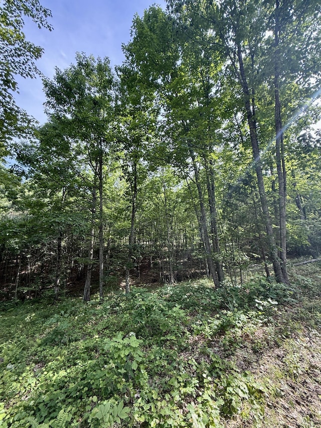 LOT5 Hobbstown Rd Unit 5, Dunlap, TN 37327