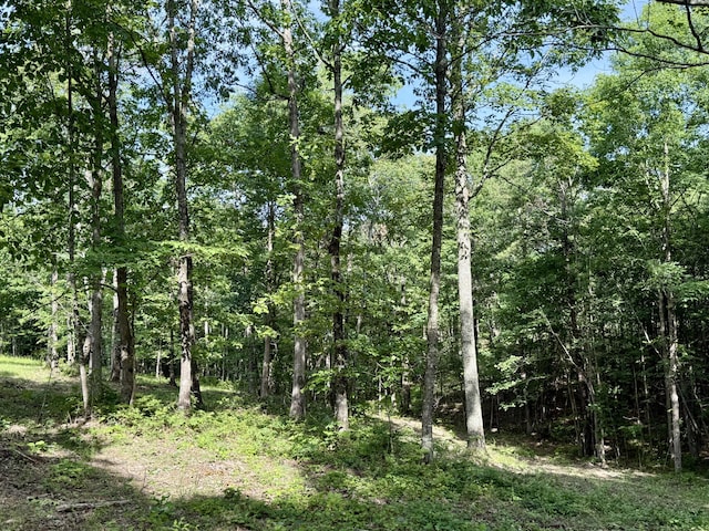 LOT5 Hobbstown Rd Unit 5, Dunlap, TN 37327