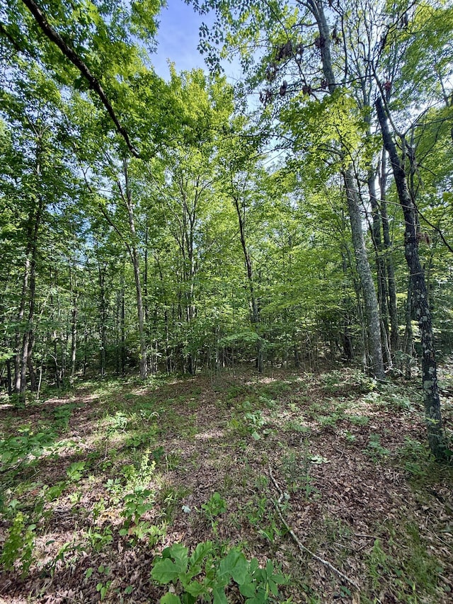 LOT5 Hobbstown Rd Unit 5, Dunlap, TN 37327