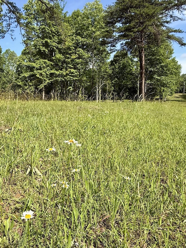 LOT5 Hobbstown Rd Unit 5, Dunlap, TN 37327