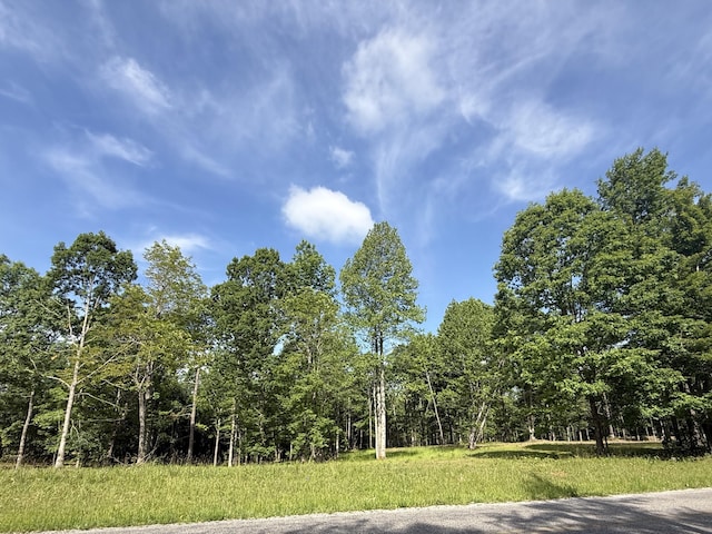 LOT5 Hobbstown Rd Unit 5, Dunlap, TN 37327