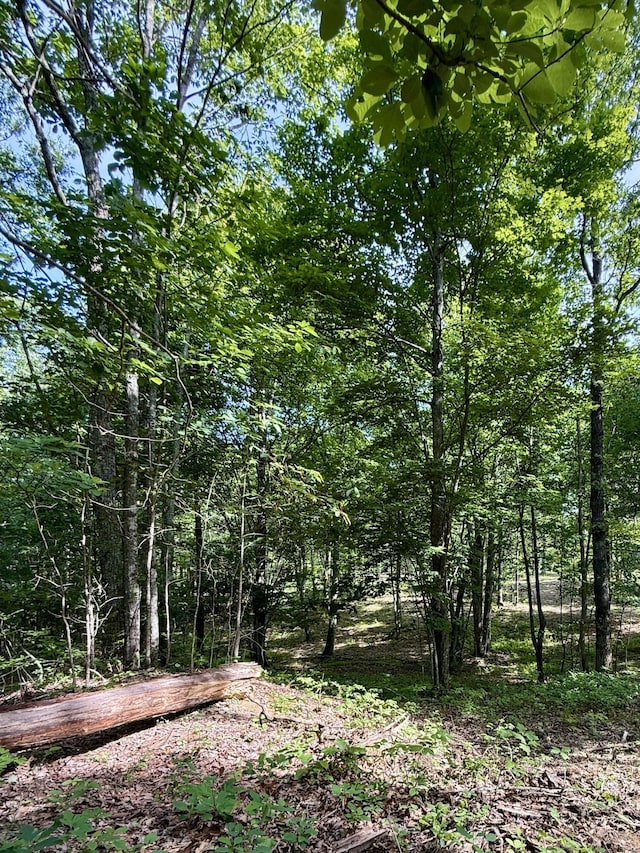LOT5 Hobbstown Rd Unit 5, Dunlap, TN 37327