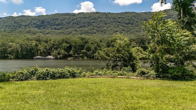 2502 Suck Creek Rd, Chattanooga, TN 37405