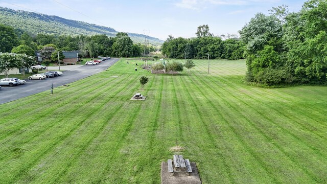 900 Mountain Creek Rd Unit E66, Chattanooga, TN 37405 - view of green lawn with a mountain view