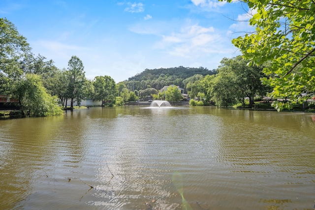 900 Mountain Creek Rd Unit E66, Chattanooga, TN 37405 - water view