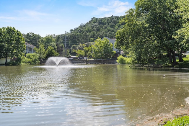 900 Mountain Creek Rd Unit E66, Chattanooga, TN 37405 - water view