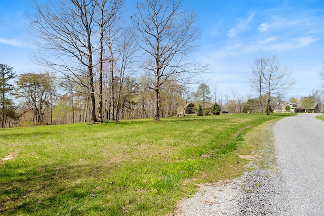 0 Tunnie Pt, Dunlap, TN 37327 - view of dirt / gravel road