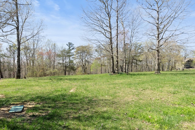 0 Tunnie Pt, Dunlap, TN 37327 - view of yard