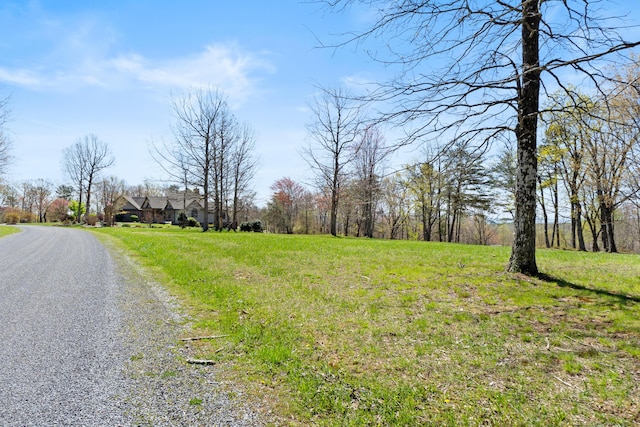 0 Tunnie Pt, Dunlap, TN 37327 - view of dirt / gravel road