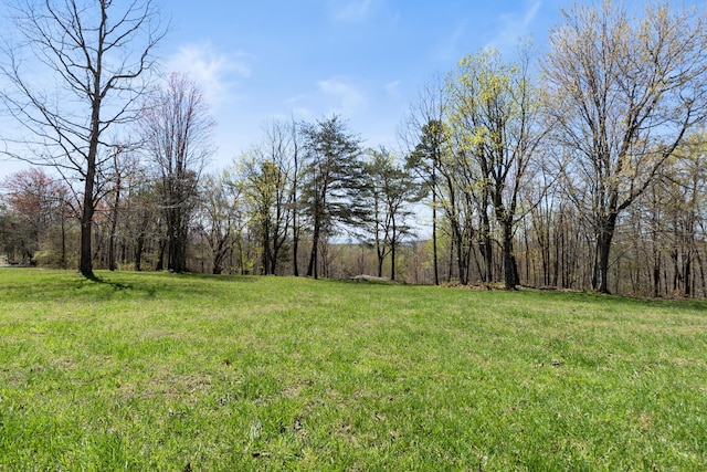 0 Tunnie Pt, Dunlap, TN 37327 - view of green lawn featuring a view of trees