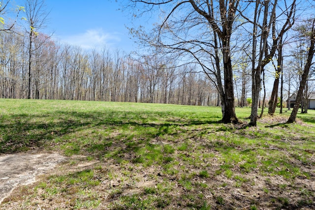 0 Tunnie Pt, Dunlap, TN 37327 - view of grassy yard