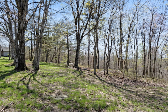 0 Tunnie Pt, Dunlap, TN 37327 - view of nature