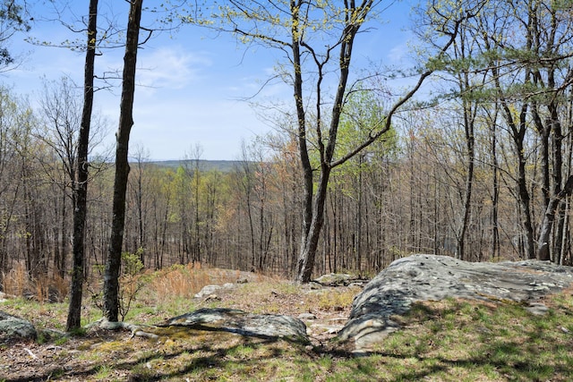 0 Tunnie Pt, Dunlap, TN 37327 - view of woods