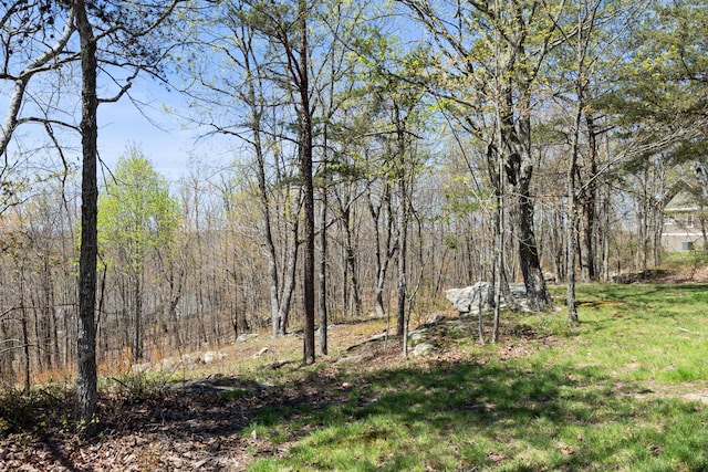 0 Tunnie Pt, Dunlap, TN 37327 - view of grassy yard featuring a view of trees