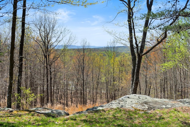 0 Tunnie Pt, Dunlap, TN 37327 - view of tree filled area