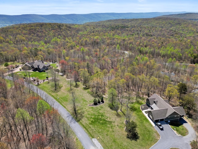 0 Tunnie Pt, Dunlap, TN 37327 - aerial view of a forest and a mountain backdrop