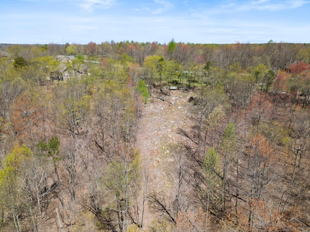 0 Tunnie Pt, Dunlap, TN 37327 - view of wooded area