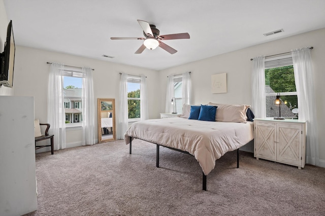 7470 Jester Ct, Ooltewah, TN 37363 - bedroom with multiple windows, carpet, and a ceiling fan