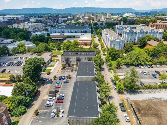 844 E 8th St, Chattanooga, TN 37403 - view of urban area featuring a mountainous background