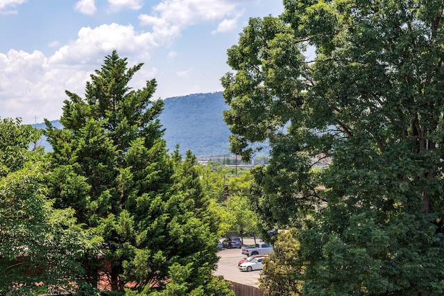 844 E 8th St, Chattanooga, TN 37403 - water view