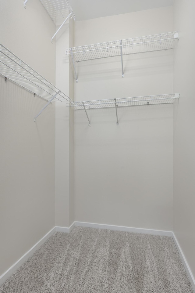 844 E 8th St, Chattanooga, TN 37403 - walk in closet featuring carpet