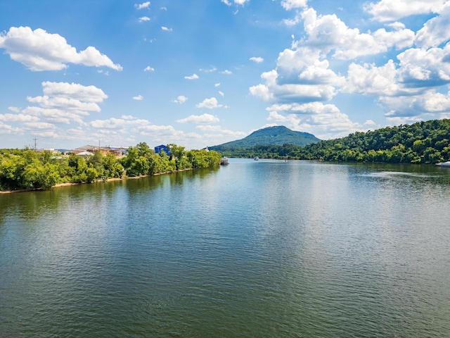 844 E 8th St, Chattanooga, TN 37403 - water view featuring a mountainous background